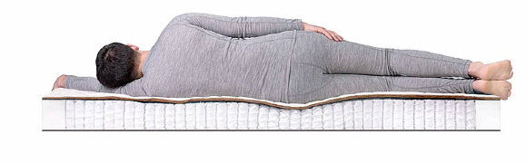 Матрас Dreamline Dream 1 S1000 Матрас Dreamline Dream 1 S1000