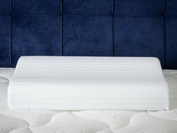 Подушка ProSon Terra Ergo