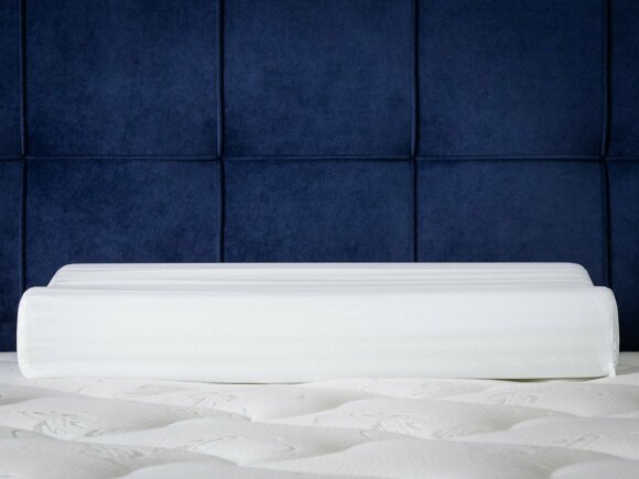 Подушка ProSon Terra Ergo