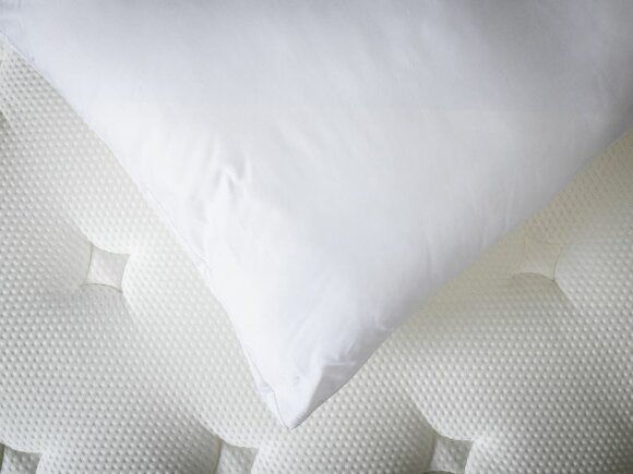 Подушка ProSon Terra Duo