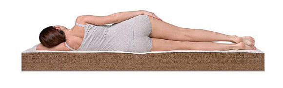 Матрас Dreamline Springless Orto 15