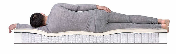 Матрас Dreamline Memory Sleep S1000 Матрас Dreamline Memory Sleep S1000